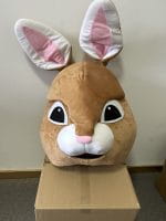 peter bunny mascot costume